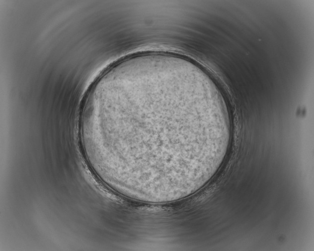 X0000114650896200911101318