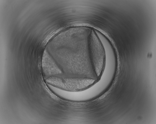 X0000114650897200911101318