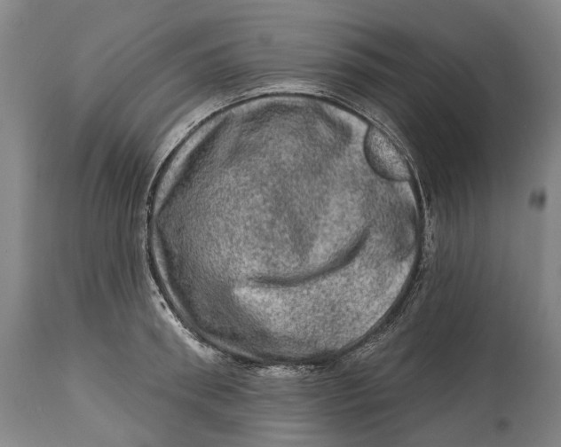 X0000114650898200911101318