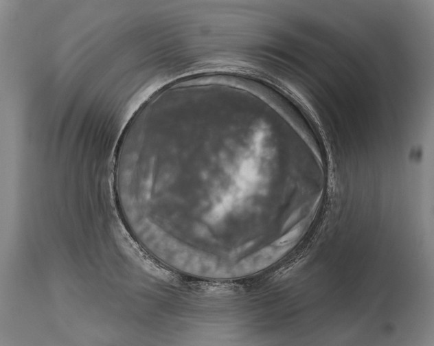 X0000114650899200911101318