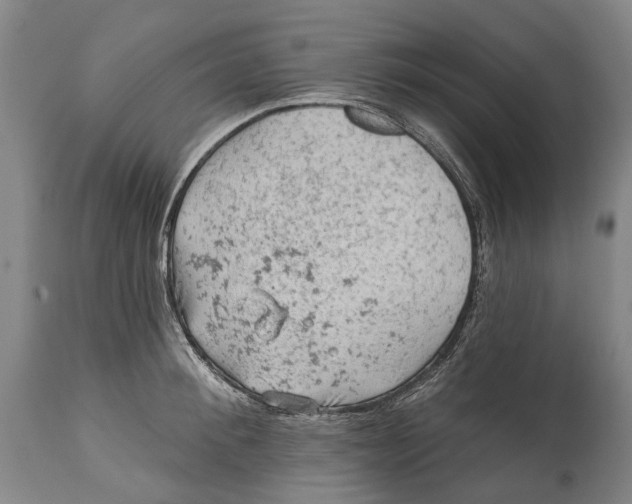 X0000114650900200911101318