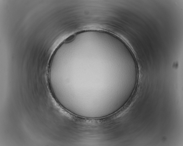 X0000114650901200911101318