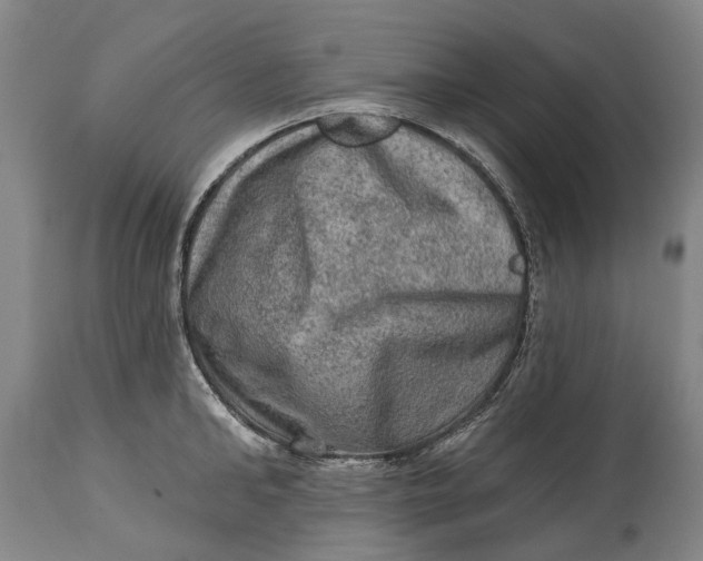 X0000114650902200911101318