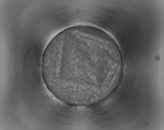 X0000114650903200911101318