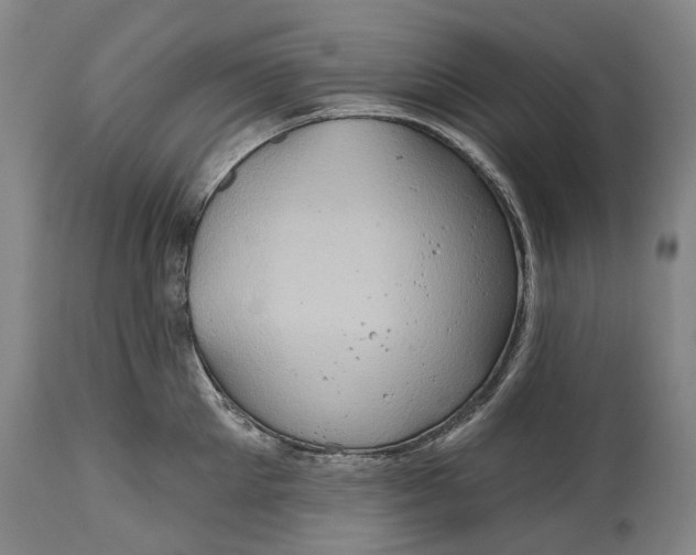 X0000114650905200911101318