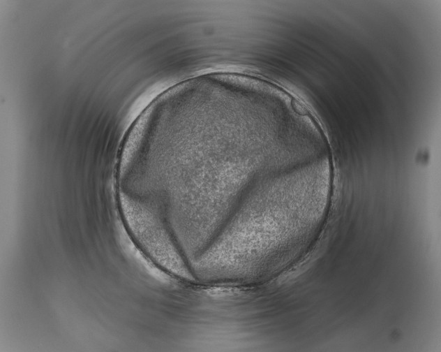 X0000114650906200911101318