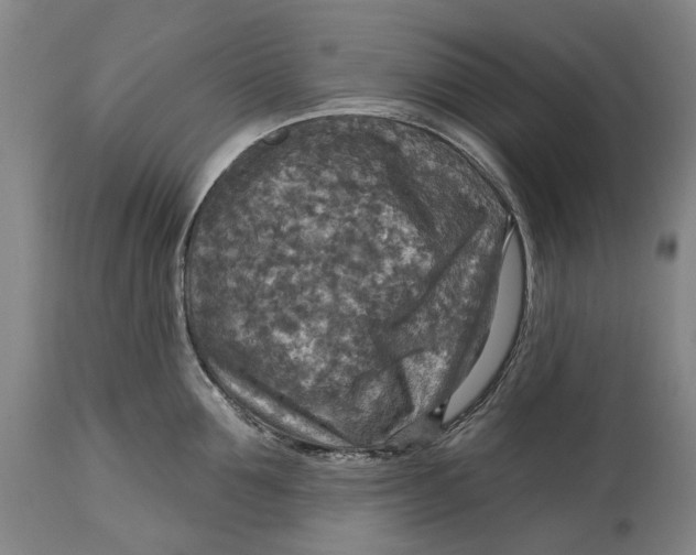 X0000114650907200911101318