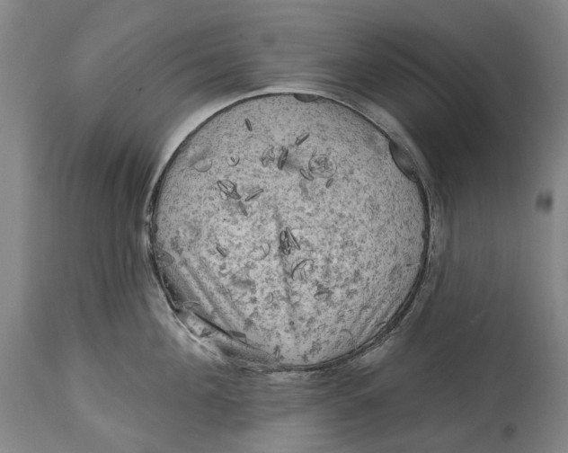 X0000114650908200911101318