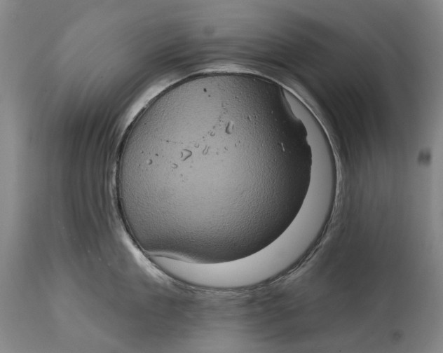 X0000114650909200911101318