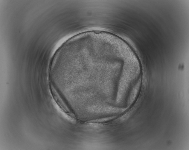 X0000114650910200911101318