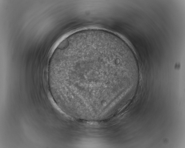 X0000114650911200911101318