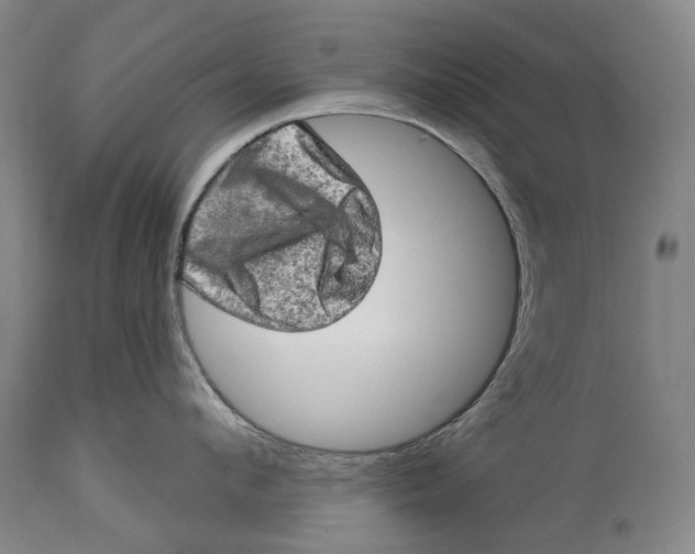 X0000114650912200911101318