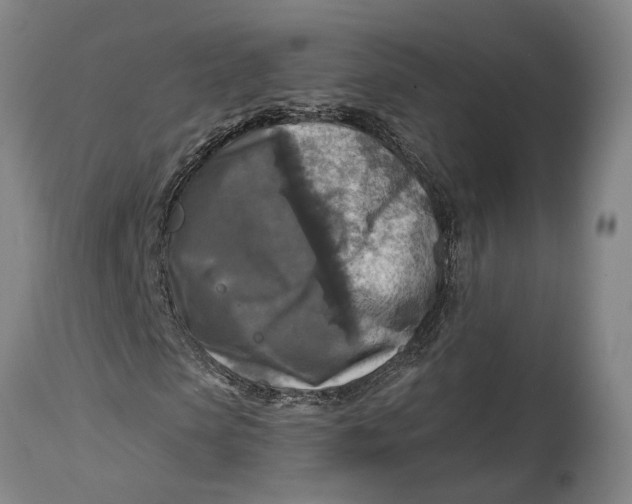 X0000114650913200911101317