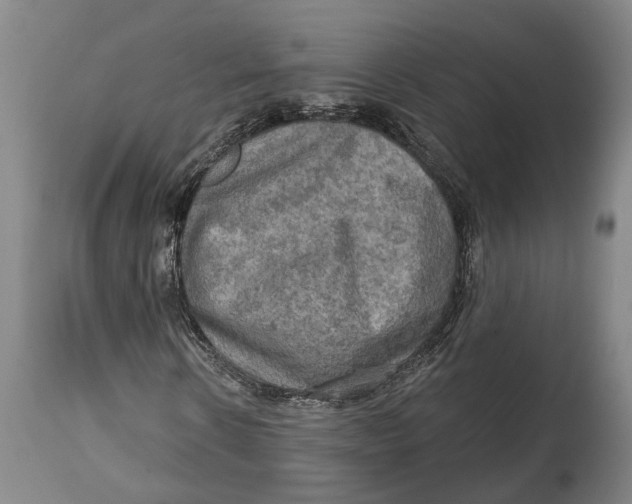 X0000114650914200911101317