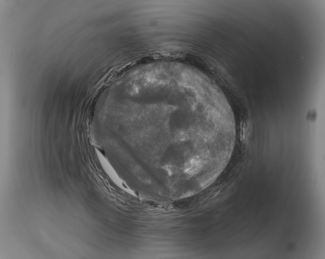 X0000114650915200911101317