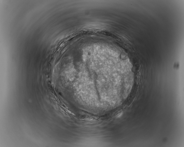 X0000114650917200911101317