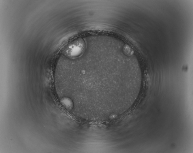 X0000114650918200911101317