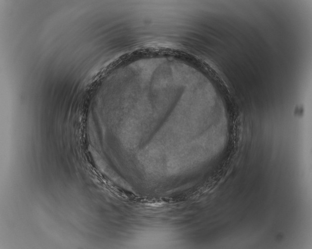 X0000114650919200911101317