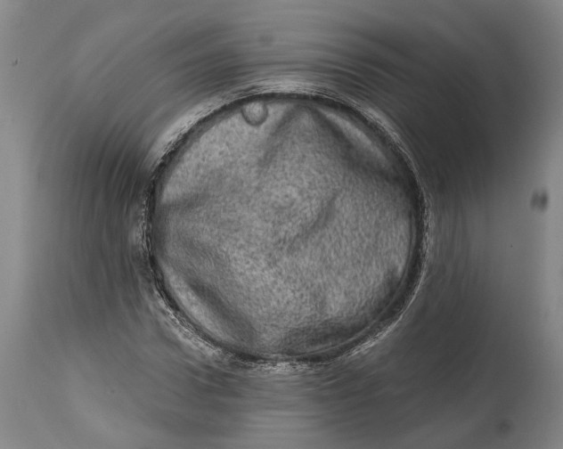 X0000114650922200911101317