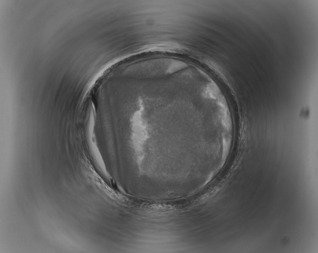 X0000114650923200911101317