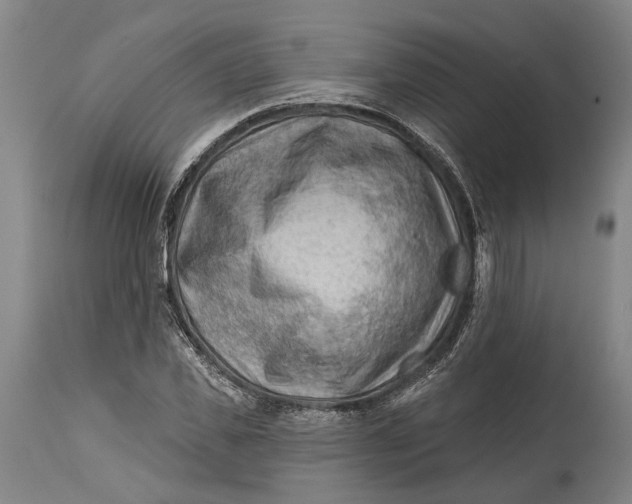 X0000114650925200911101317