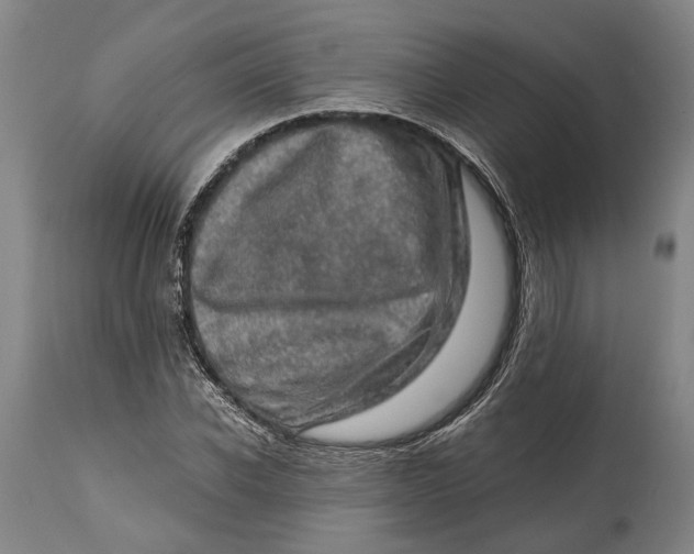 X0000114650926200911101317