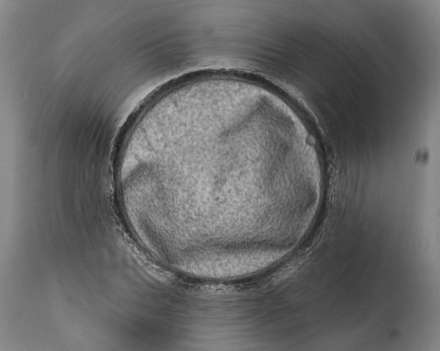 X0000114650927200911101317