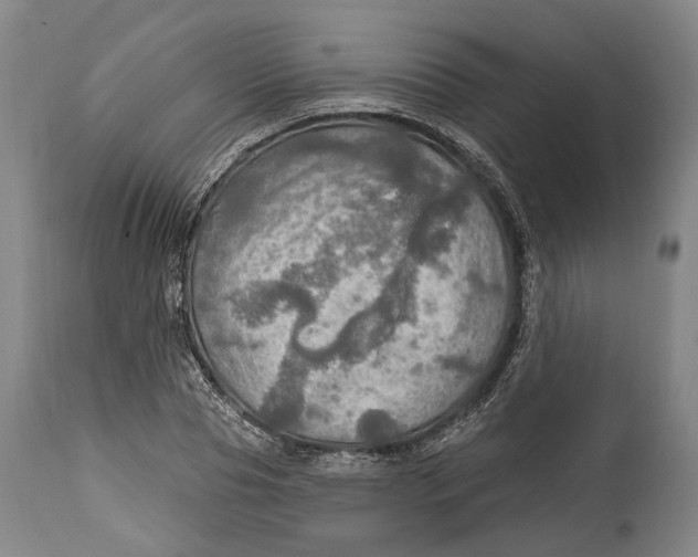 X0000114650929200911101317