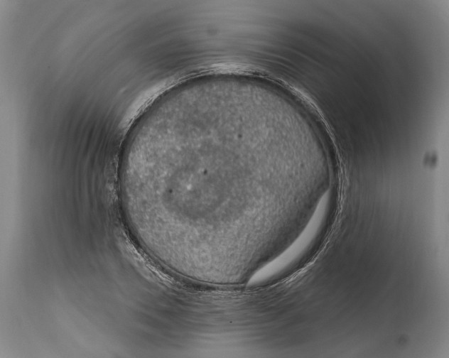 X0000114650930200911101317