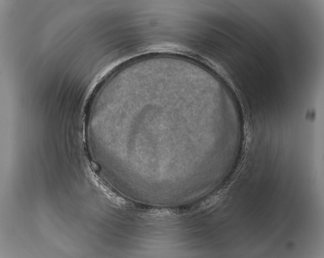 X0000114650931200911101317