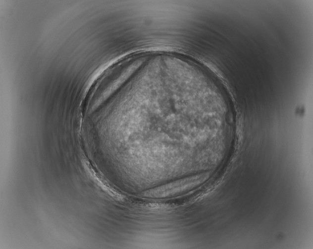 X0000114650933200911101317