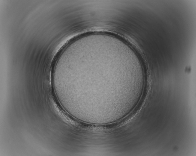 X0000114650934200911101317