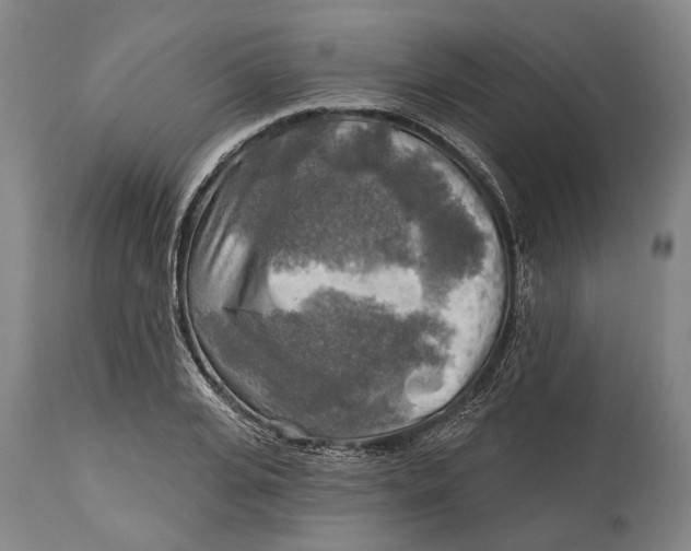 X0000114650935200911101317