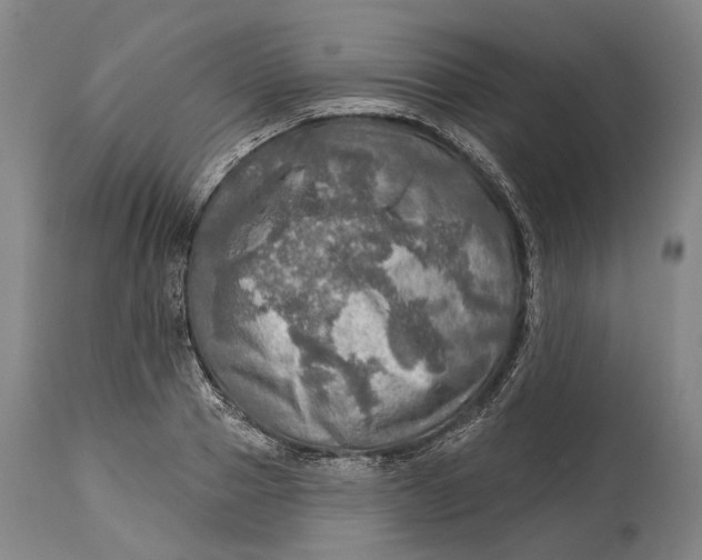 X0000114650937200911101317