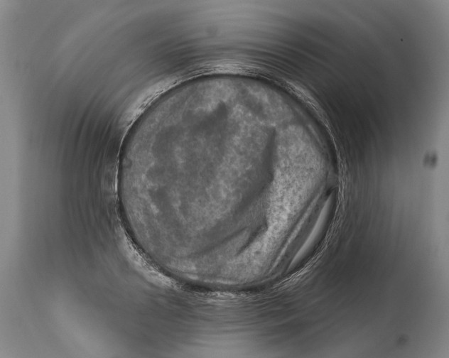 X0000114650938200911101317