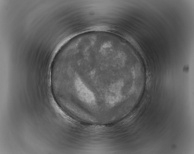 X0000114650939200911101317