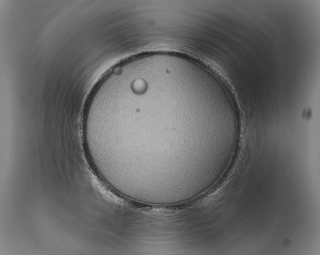 X0000114650942200911101317