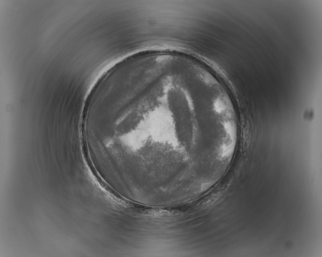 X0000114650943200911101317