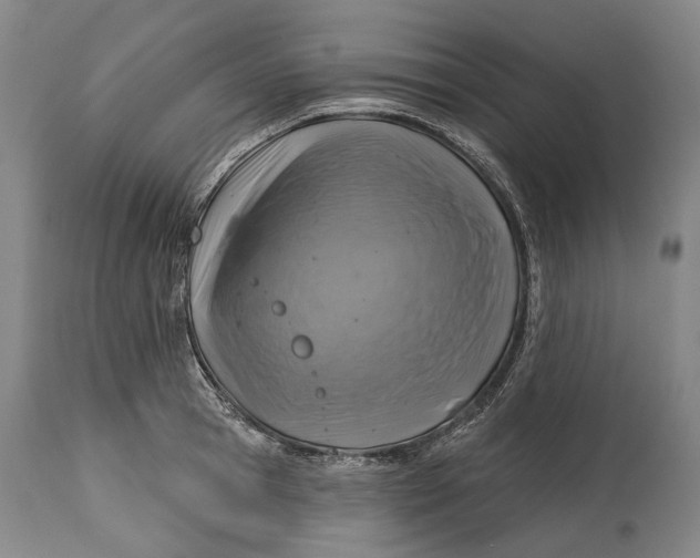 X0000114650945200911101317