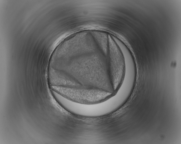 X0000114650946200911101318