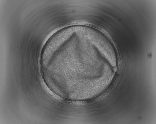 X0000114650947200911101318