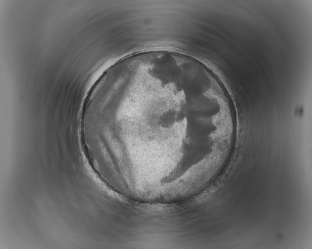 X0000114650949200911101318