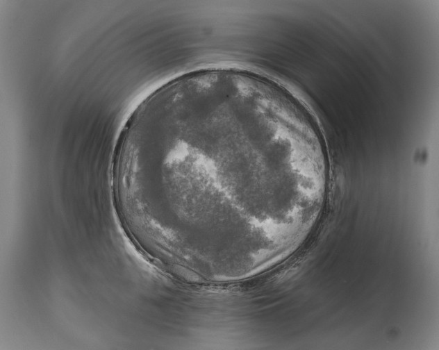 X0000114650951200911101318