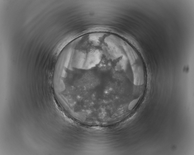 X0000114650953200911101318