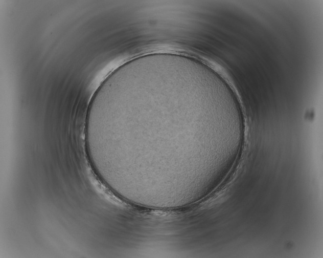 X0000114650954200911101318