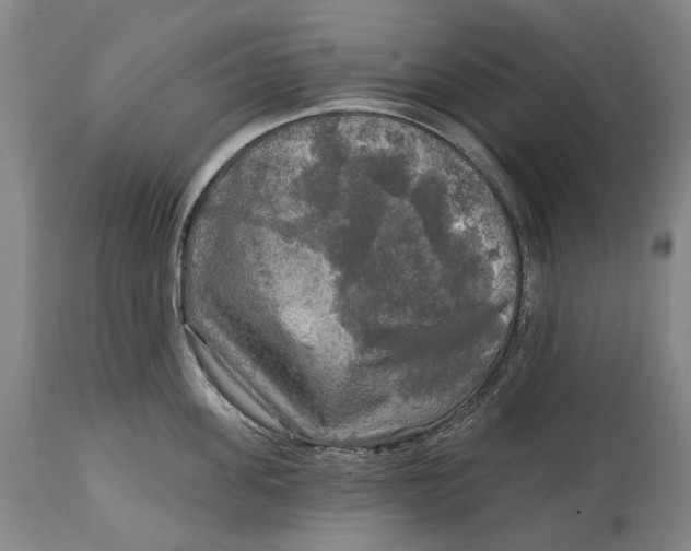 X0000114650955200911101318