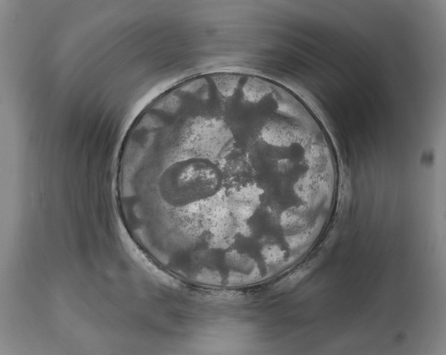 X0000114650957200911101318