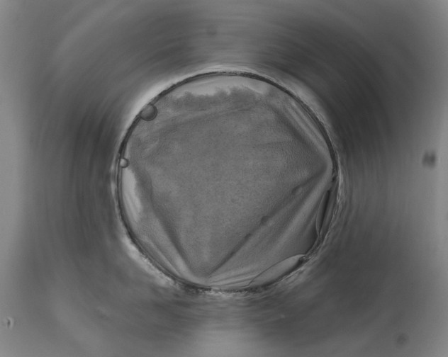 X0000114650958200911101318