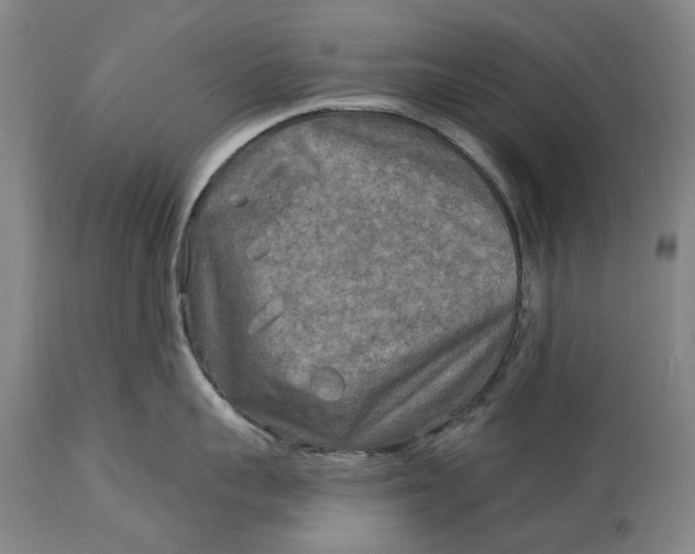 X0000114650959200911101318