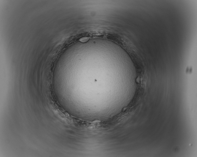 X0000114650961200911101317